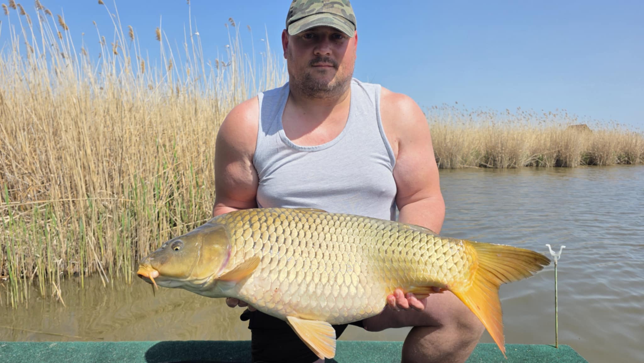 Jaksi