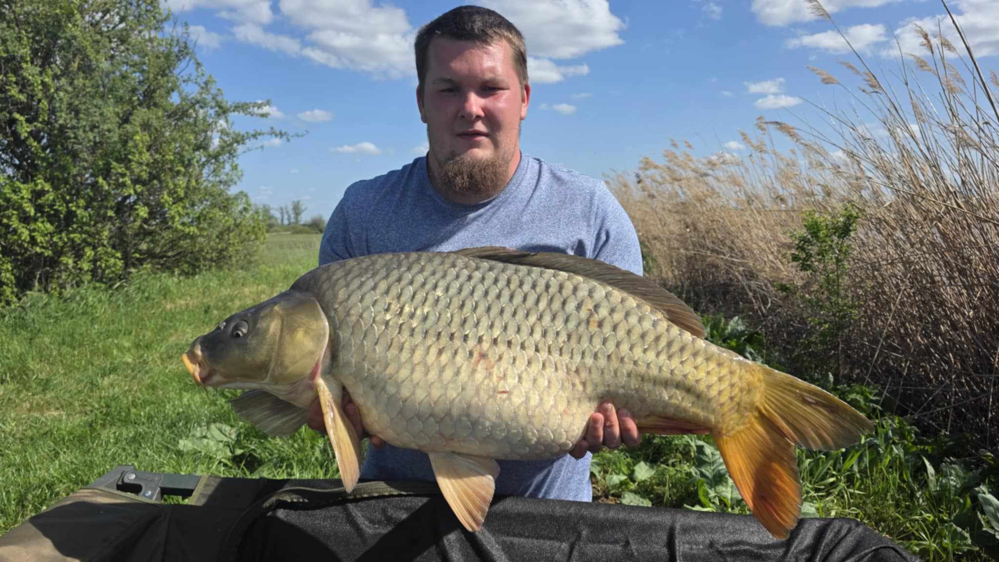 Zeusz
