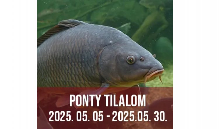 Tilalmi időszak infó!