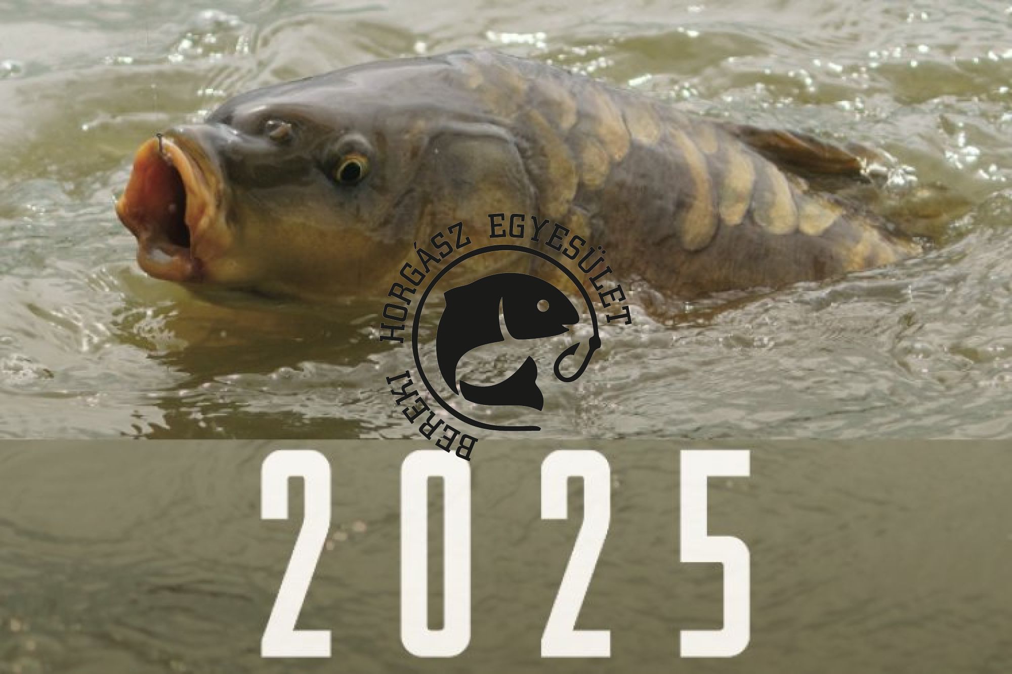 2025 Napijegy kedvezmények!